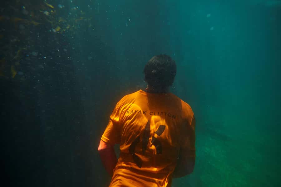 Cape Town: Guided Kayak Tour of Clifton Beaches & The Coast - Who will enjoy this outing most