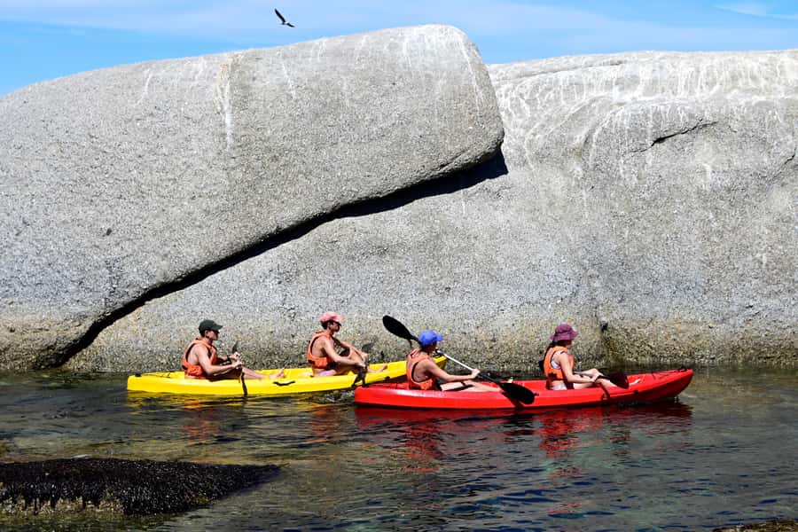 Cape Town: Guided Kayak Tour of Clifton Beaches & The Coast - Should you book the Clifton kayak tour?