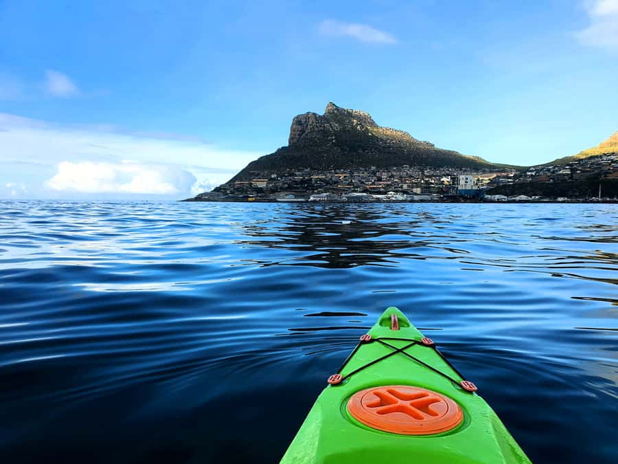 Cape Town: Guided Kayaking in Hout Bay - Quick points to know