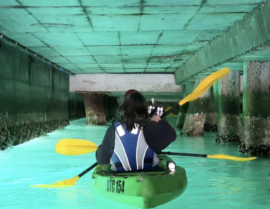 Cape Town: Guided Kayaking in Hout Bay - Chapmans Peak and Hout Bay’s story