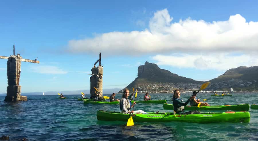 Cape Town: Guided Kayaking in Hout Bay - Seals, dolphins, penguins, and sunfish