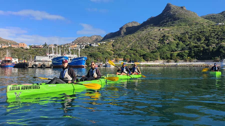 Cape Town: Guided Kayaking in Hout Bay - Is two hours physically demanding?