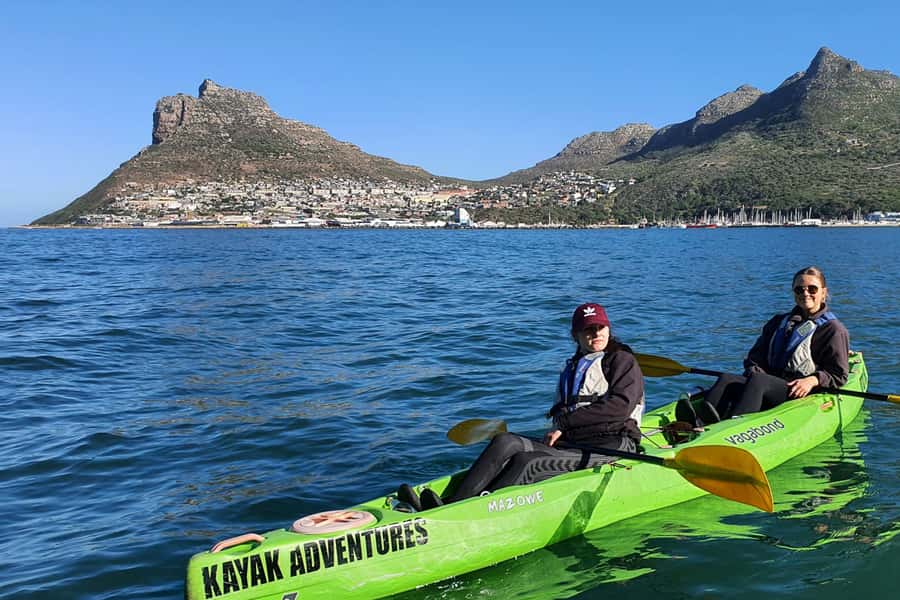 Cape Town: Guided Kayaking in Hout Bay - Who will enjoy this Hout Bay outing?