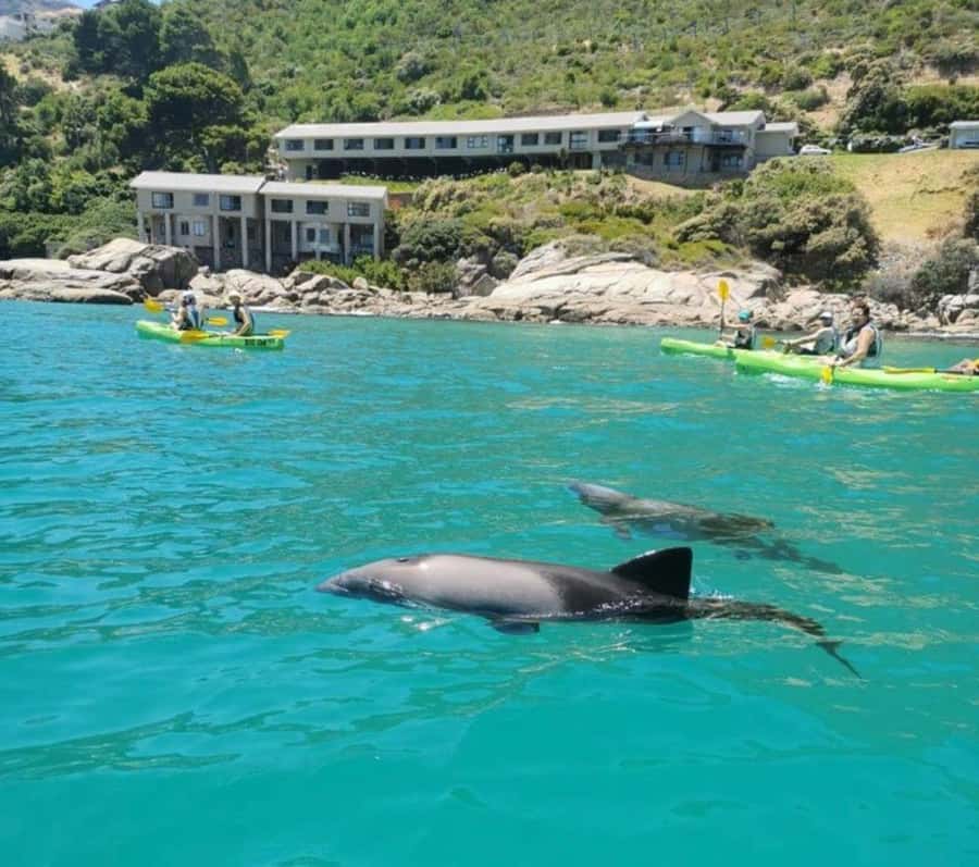 Cape Town: Guided Kayaking in Hout Bay - The first paddle: Hout Bay from the water