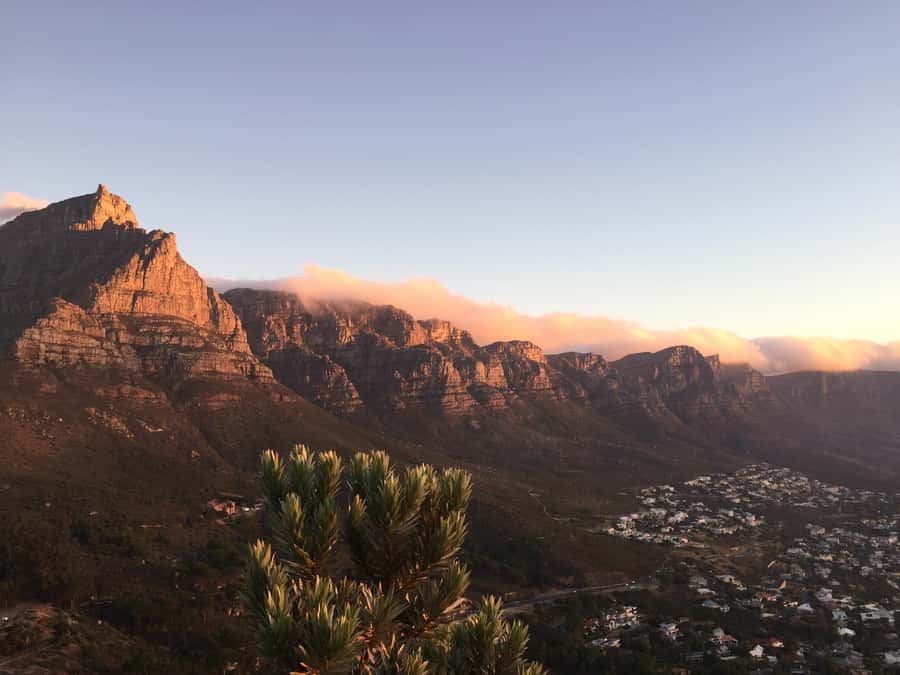 Cape Town: Guided Marine Wildlife Cruise and Cape Point Tour - What $170 buys you