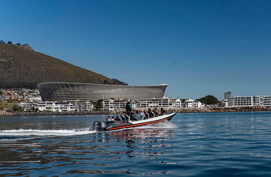 Cape Town: Guided Marine Wildlife Cruise and Cape Point Tour - Starting at the V&A Waterfront