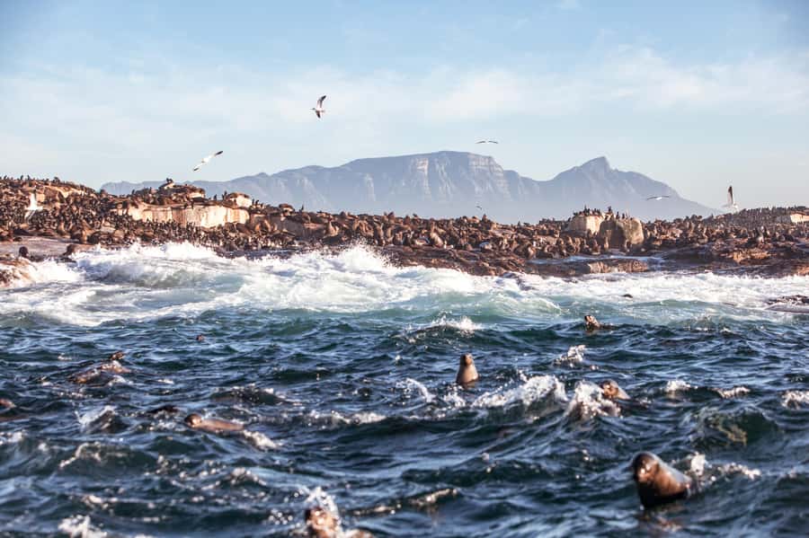 Cape Town: Guided Township Tour with Hotel Pickup - Langa, Cape Town’s oldest township