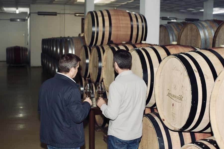Cape Town: Guided Winelands Tour & Tasting in Stellenbosch - Who will enjoy this Stellenbosch trip most?
