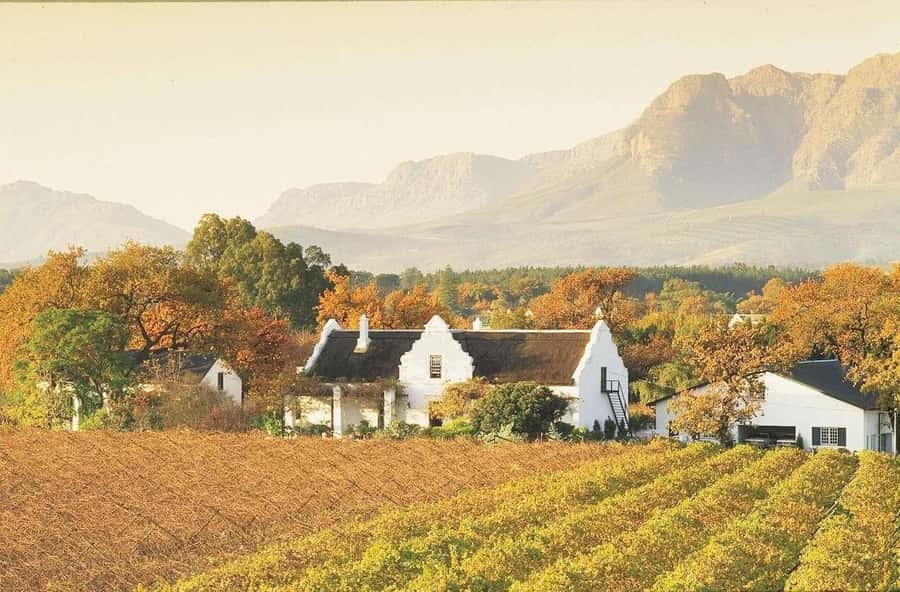 Cape Town: Guided Winelands Tour & Tasting in Stellenbosch - Should you book this tour?