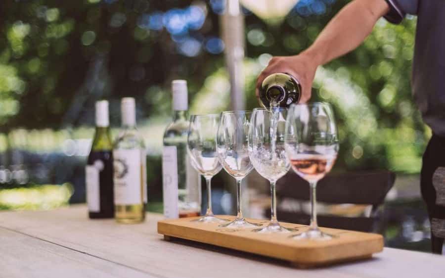 Cape Town: Guided Winelands Tour & Tasting in Stellenbosch - Stellenbosch town and the second wine tasting