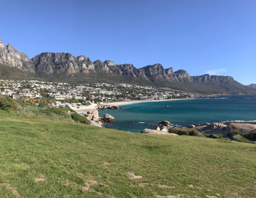 Cape Town: Half-Day Boulders Beach & Penguin Encounter Tour - What the five-hour schedule feels like