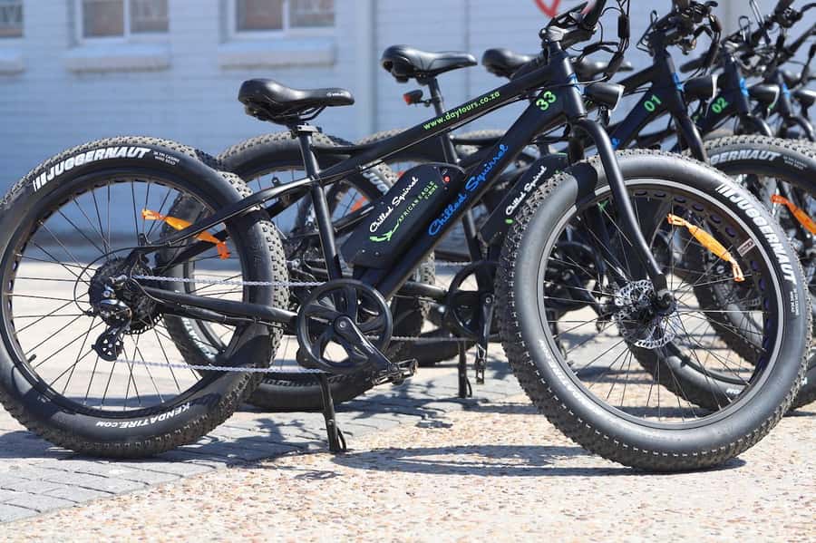 Cape Town: Half-Day e-Bike City Tour - Key points to know before you book