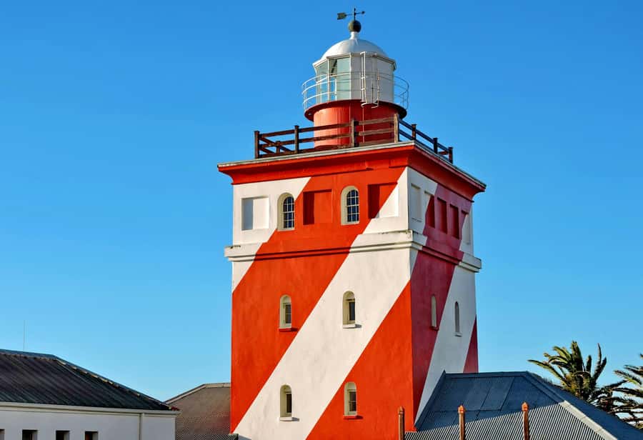 Cape Town: Half-Day e-Bike City Tour - Nelson Mandela Jetty 1 Museum