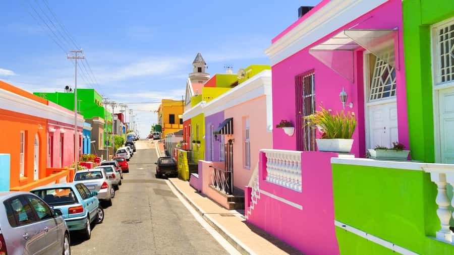 Cape Town: Half-Day Guided City Sightseeing Tour by Bus - One and a half hours at the Iziko South African Museum