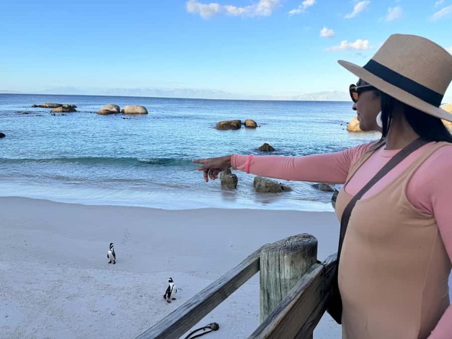 Cape Town: Half-Day Table Mountain and Penguin Group Tour - Bo-Kaap: colorful houses with a cultural story