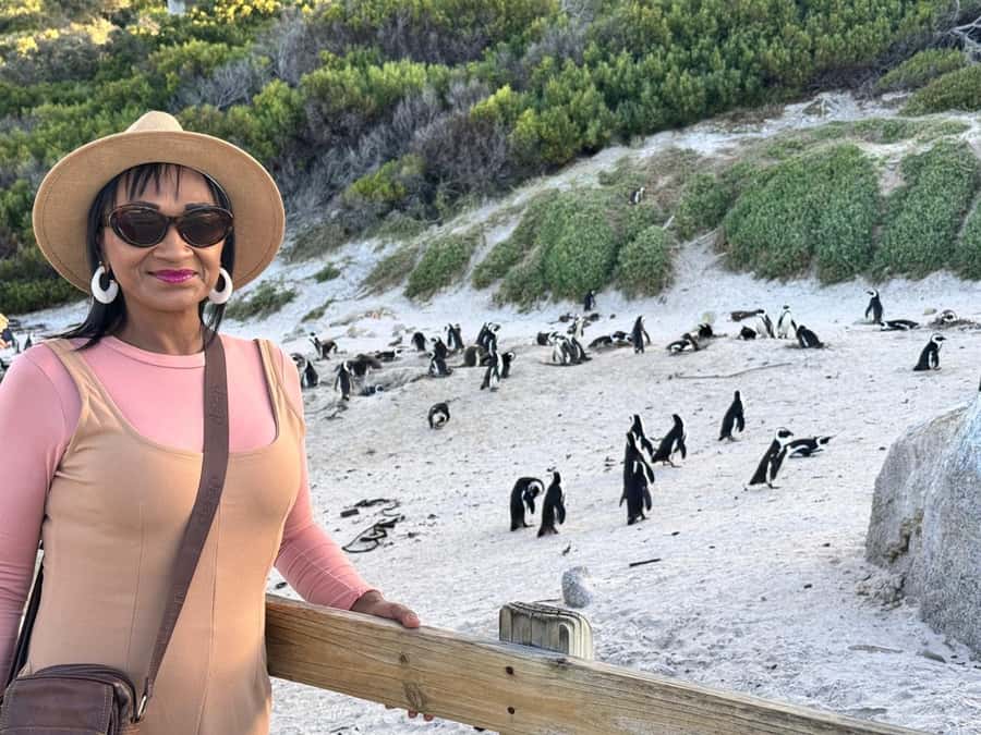 Cape Town: Half-Day Table Mountain and Penguin Group Tour - Maiden’s Cove and the Twelve Apostles