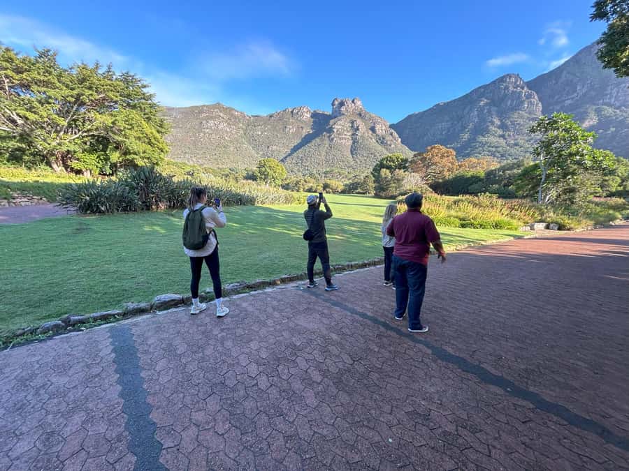 Cape Town: Half Day Table Mountain & Kirstenbosch Gardens - A guided walk through fynbos and local vegetation