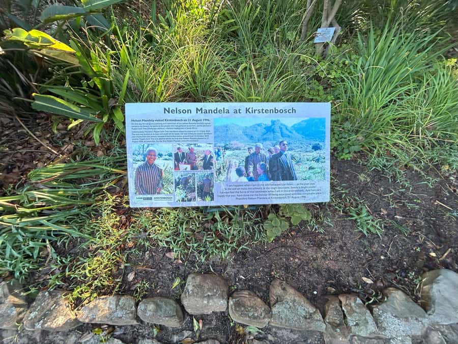 Cape Town: Half Day Table Mountain & Kirstenbosch Gardens - What the guide can add