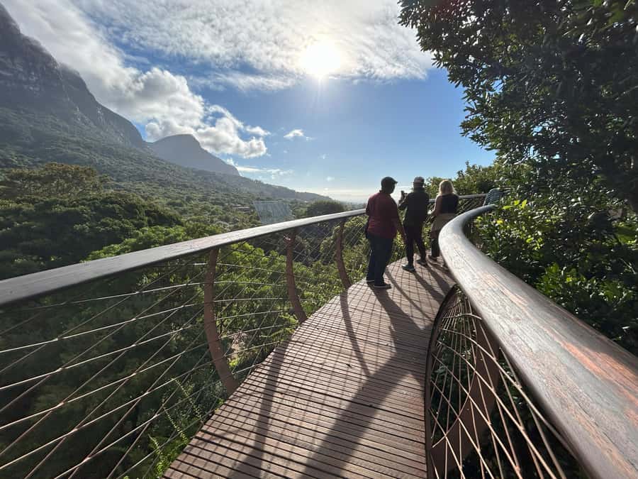 Cape Town: Half Day Table Mountain & Kirstenbosch Gardens - Practical details for a smooth morning