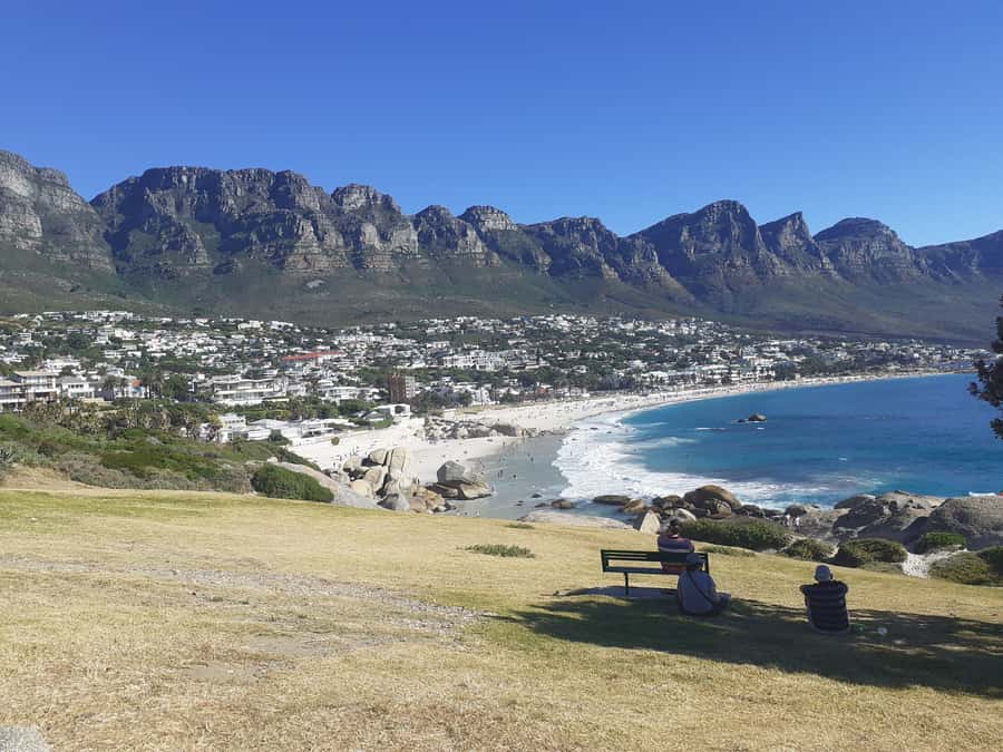 Cape Town: Halfday African Penguin tour - Transport, timing, and what to bring