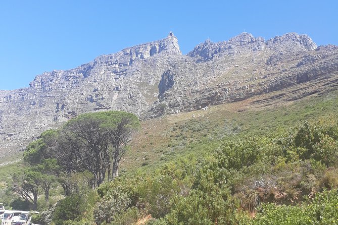 Cape Town Halfday City and Table Mountain Tour - The guide can make the difference
