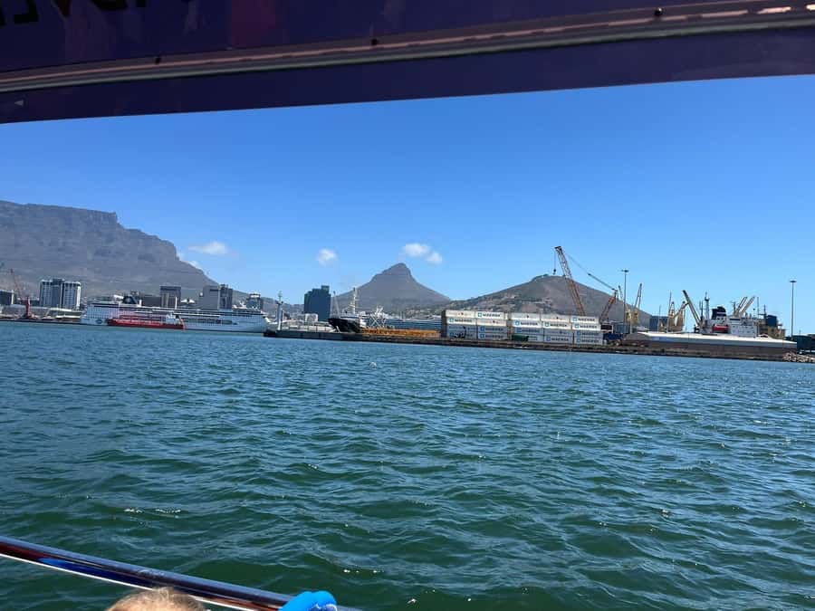 Cape Town: Harbor Cruise - Why this harbor cruise is worth your time