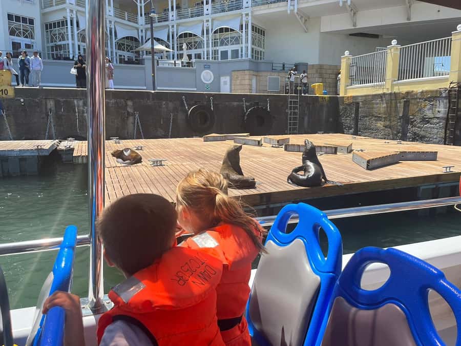 Cape Town: Harbor Cruise - Timing, delays, and the 30-minute format