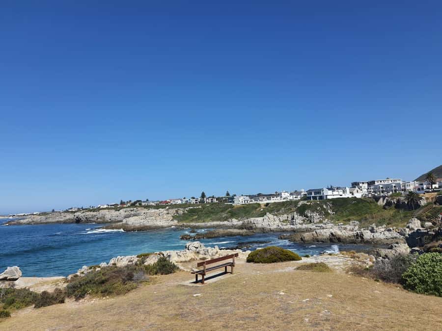 Cape Town: Hermanus Whale Watching Shared Boat & Penguins - Key points at a glance