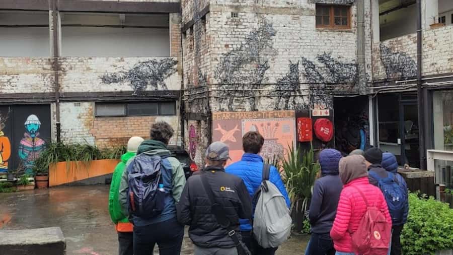 Cape Town: Inspiring sustainable change through Street Art - Reading the murals instead of just photographing them