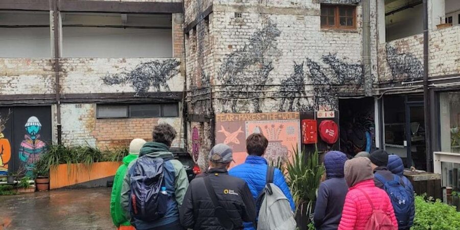 Cape Town: Inspiring sustainable change through Street Art - Meeting locals and seeing creative subcultures