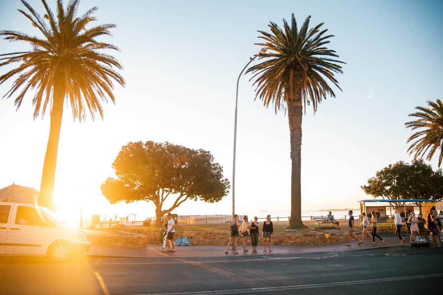 Cape Town: Introductory City Tour by Foot and Minibus - Seeing Clifton and Camps Bay from the minibus