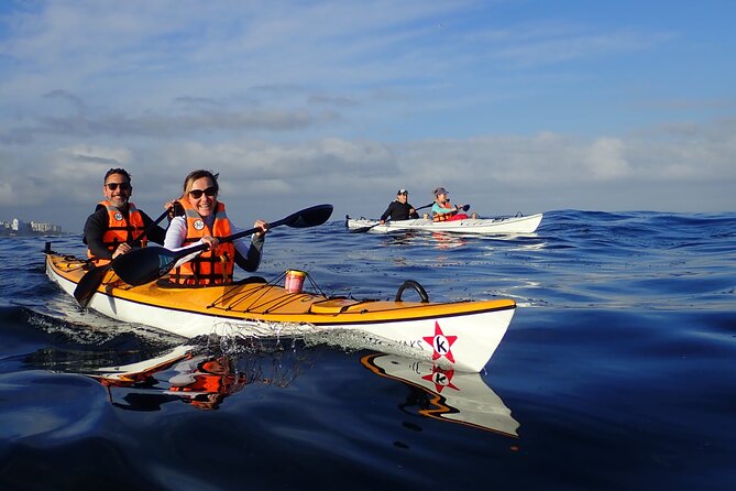 Cape Town Kayak Adventure in Table Mountain Marine Reserve - Why this kayak trip gives you a fresh view of Cape Town