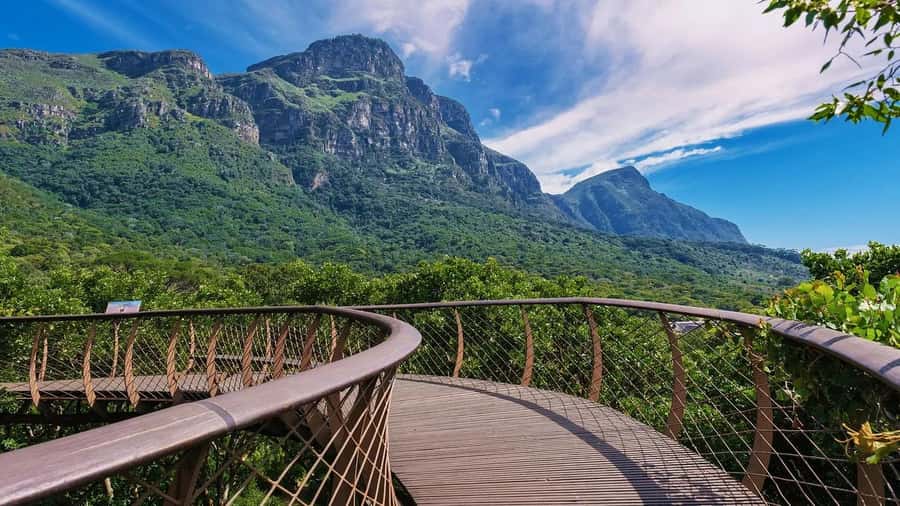 Cape Town: Kirstenbosch Botanical Garden Entry Ticket - Taking a slower route through the themed gardens