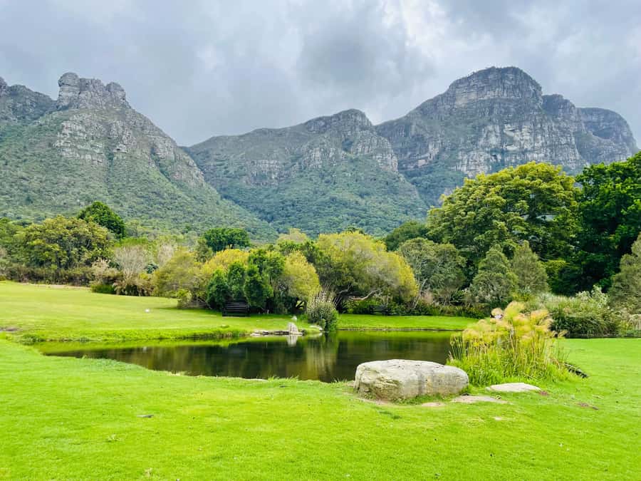 Cape Town: Kirstenbosch Botanical Garden Entry Ticket - Who will enjoy this garden most