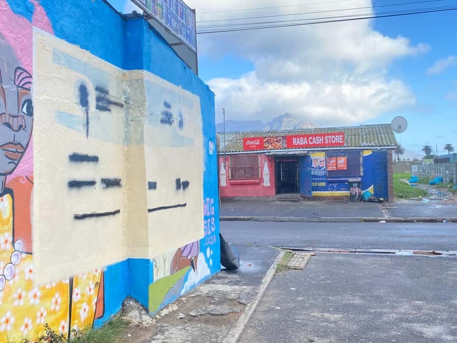 Cape Town: Langa Township Walking Tour - Who should book this Langa walk?