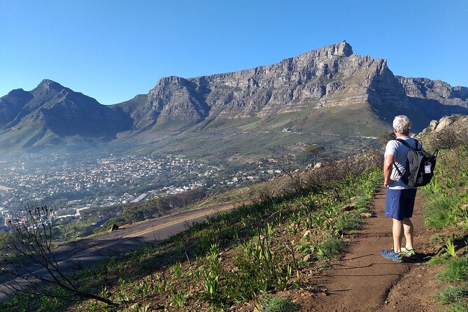 Cape Town: Lion's Head Hike - Ladders, chains, and staples on the upper sections