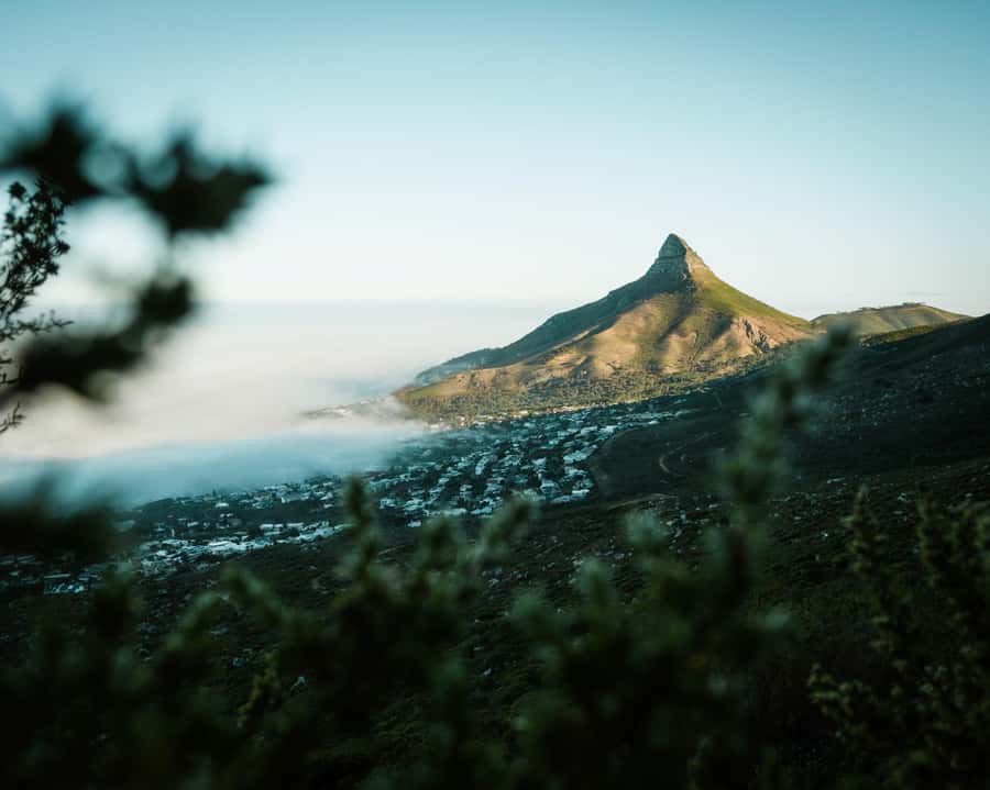 Cape Town: Lion's Head Hiking Experience - The easy jeep track and first views
