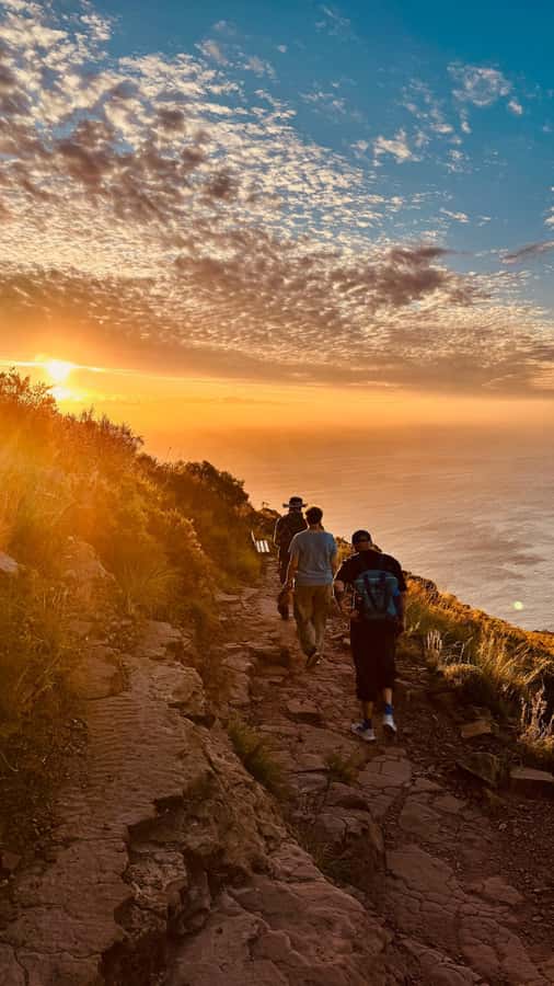 Cape Town: Lion's Head Sunrise or Sunset Guided Hike - Sunrise or sunset: choosing the right departure