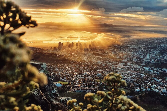 Cape Town: Lion's Head Sunrise/Sunset Hike - What your guide adds beyond route-finding