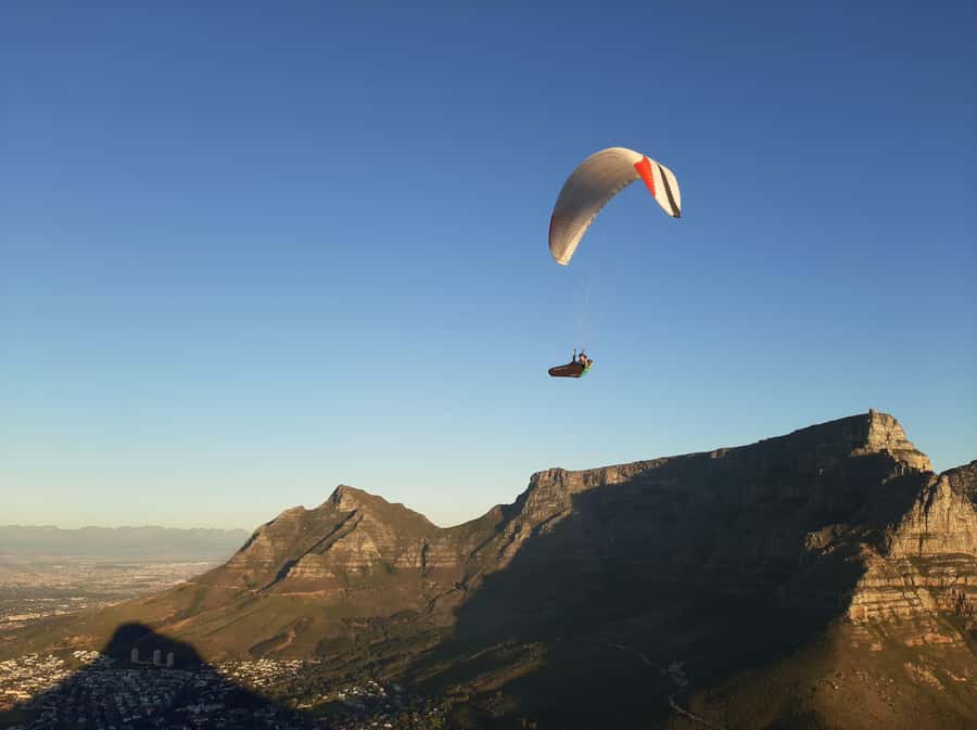 Cape Town: Lion's Head Sunrise with coffee or Sunset Hike - The silver leaf trees and first coastal views