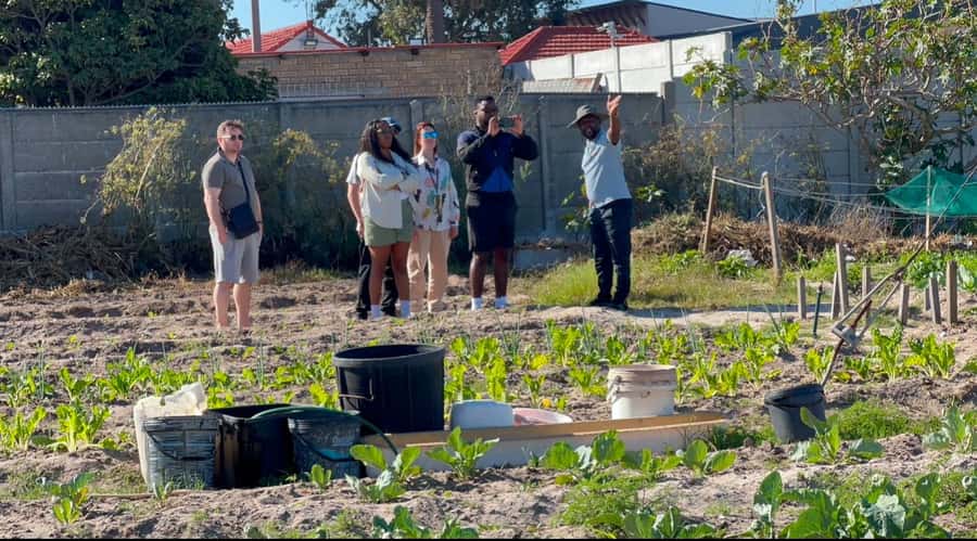 Cape Town: Local street food tour - Eight tastes that may shape the afternoon