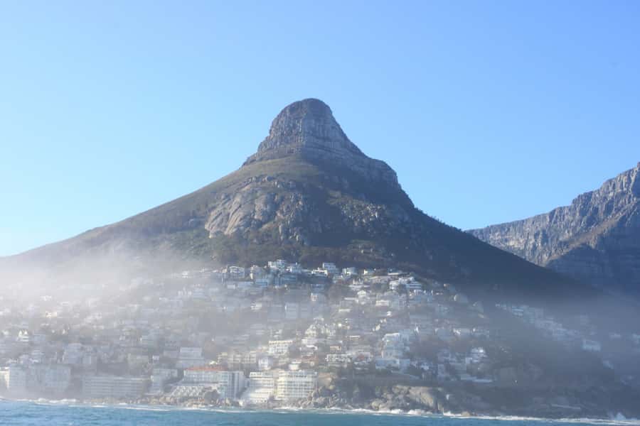Cape Town: Marine Big 5 Ocean Safari from V&A Waterfront - Searching for the Marine Big 5