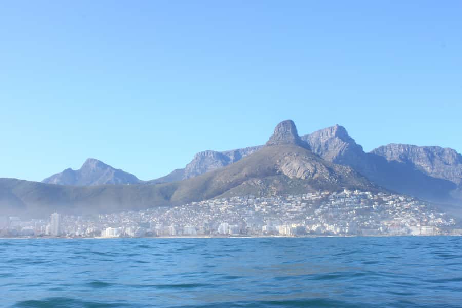 Cape Town: Marine Big 5 Ocean Safari from V&A Waterfront - What the crew adds to the experience