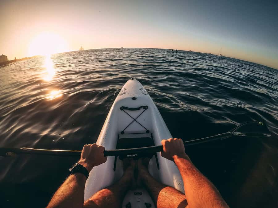 Cape Town: Marine Life Kayak Tour From the V&A Waterfront - Wildlife watching without a glass barrier