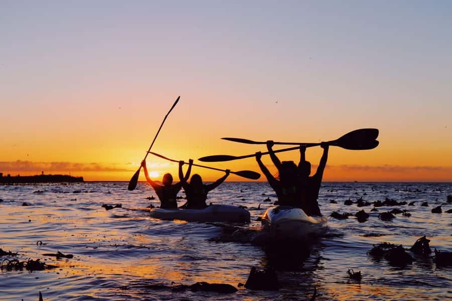 Cape Town: Marine Life Kayak Tour From the V&A Waterfront - How much paddling should you expect?