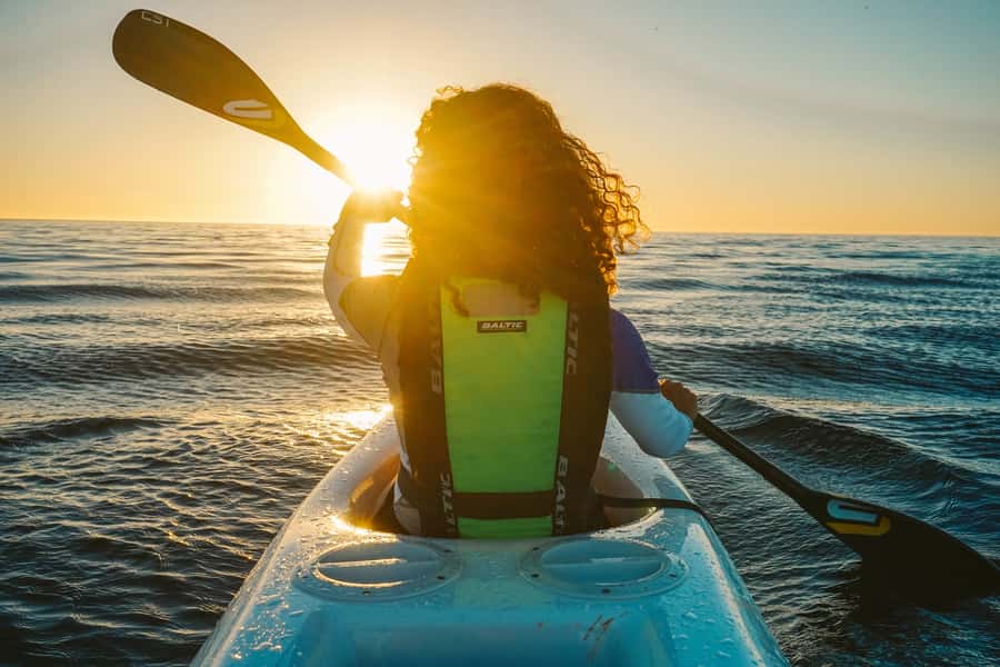 Cape Town: Marine Life Kayak Tour From the V&A Waterfront - What to bring for a comfortable morning