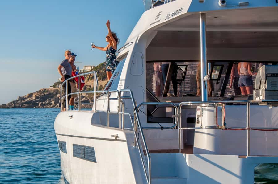 Cape Town: Morning Prosecco Cruise & Mimosa Breakfast - Wildlife watching without a long boat trip