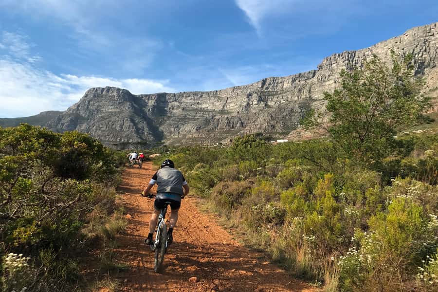 Cape Town: Mountain Biking Trip along Table Mountain - From Constantia Neck toward Kirstenbosch
