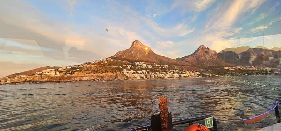 Cape Town: Ocean Safari 1 Hour - What the guide adds to the hour