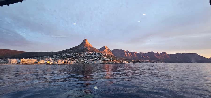Cape Town: Ocean Safari 1 Hour - Is $62 a fair price?